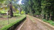 Top Coatepec