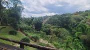 Top Coatepec