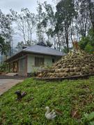 Top Thodupuzha