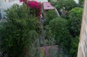 Top Sliema