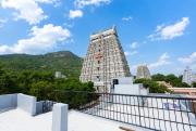 Top Tiruvannāmalai