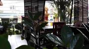 Top Sathani Chumphon