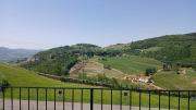 Top Loazzolo