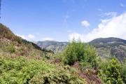 Top Ribeira Brava