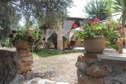 Top Leuca