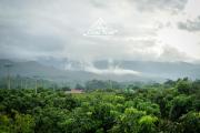 Top Ban Mae Pan