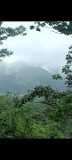 Top Madikeri