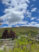 Top Phoenicia Top Phoenicia