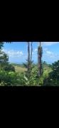 Oceanview Paradise for Natures Lover