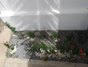 Villa con piscina privada