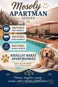 Top Szeged