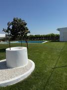 Top Seville