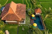 Top Ubud