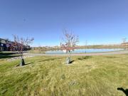 Top Calgary