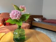 Cozy apartment near Darmstadt & forest