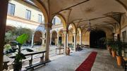 Top Cremona