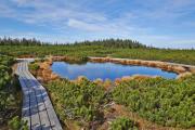 Villa Evita – Vintage House with Pool in Pohorje - Happy Rentals