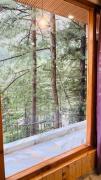 Top Kasol