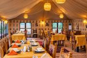 Exploring best Luxury camp