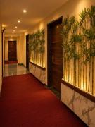 Top Raipur