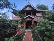 Top Ziro