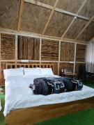 Top Ziro