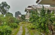 ELIVAAS Signature Junglebrooke 8 Room Pet-Friendly Cottage Estate With Swimming Pool, Forest View, In-House Restaurant & Landscaped Lawn