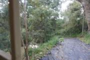 Top Yercaud