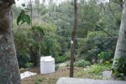 Top Yercaud