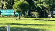 Top San Lorenzo