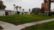 Top Arica