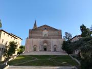 Top Todi