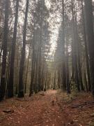 Top Nevada City