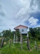 FIREFLY JUNGLE Bungalow