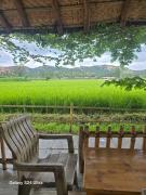 Top New Hampi