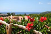 Top Son Bou