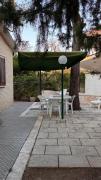 Top Pulsano