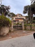Top Pulsano