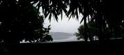 Top Wayanad