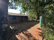 Top Buena Vista