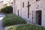 Top Assisi