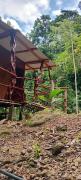 Top Parrita