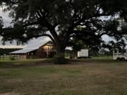 Top Tylertown