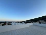 Top Bizerta