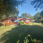Top Coñaripe