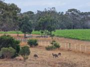 Top Bellbrae