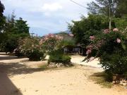 Top Chaiya