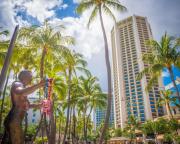 Top Honolulu