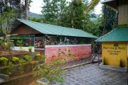 Top Kuttampuzha