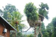 Top Kuttampuzha